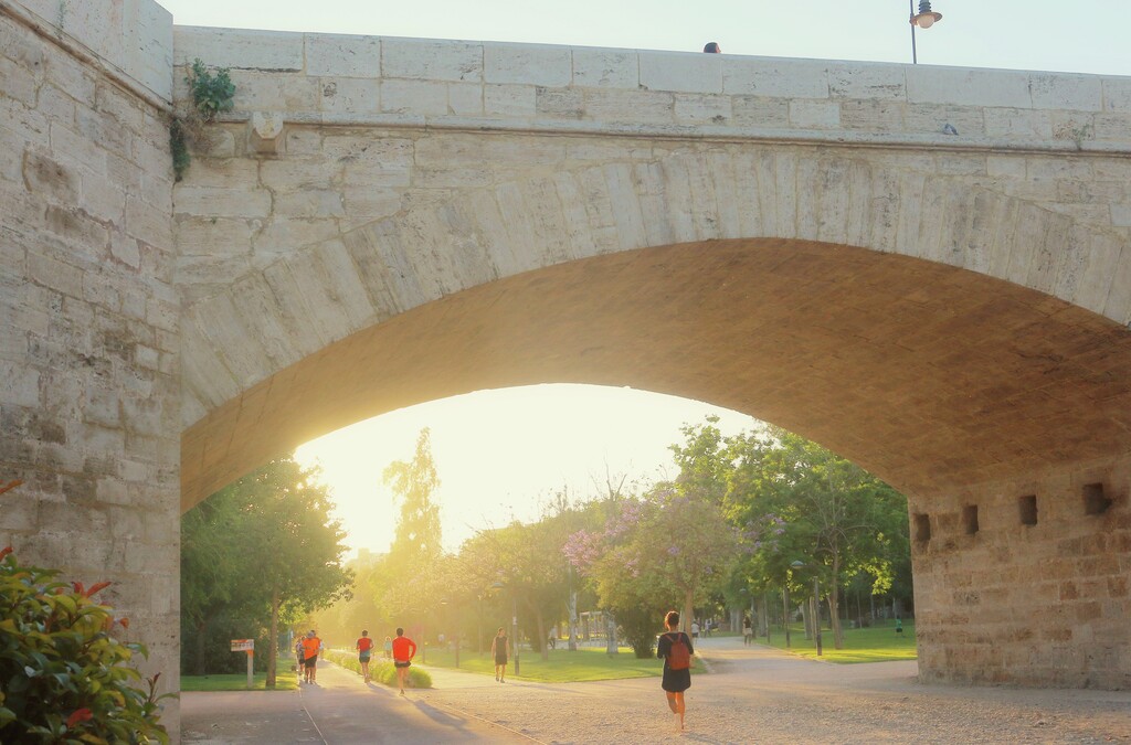 Jardines del Turia