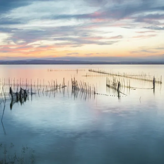 Albufera Valencia