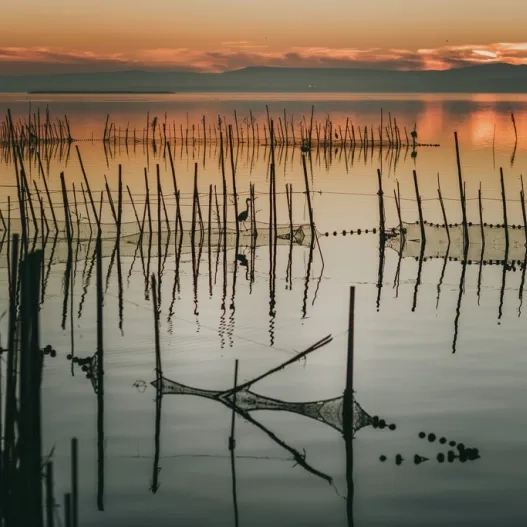 Atardecer albufera 