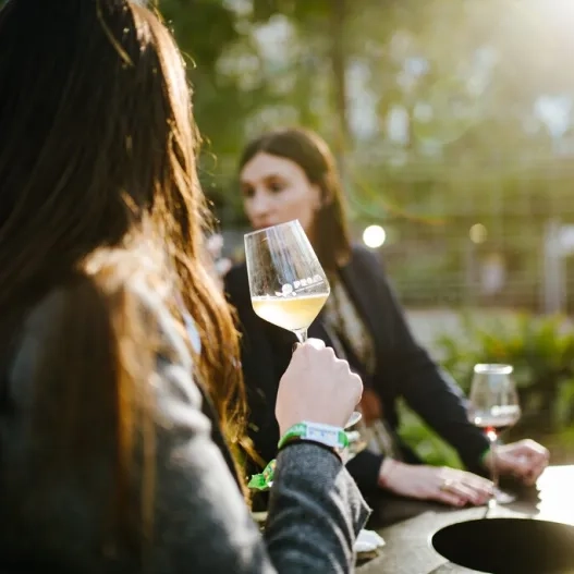 Copa vino