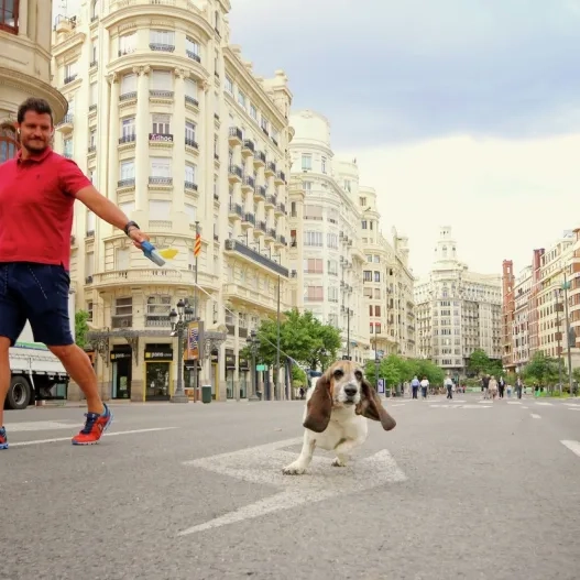 perros en plaza ayuntamiento pet friendly
