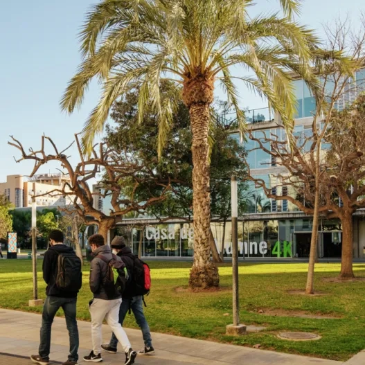 University Valencia
