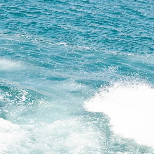 Moto de agua