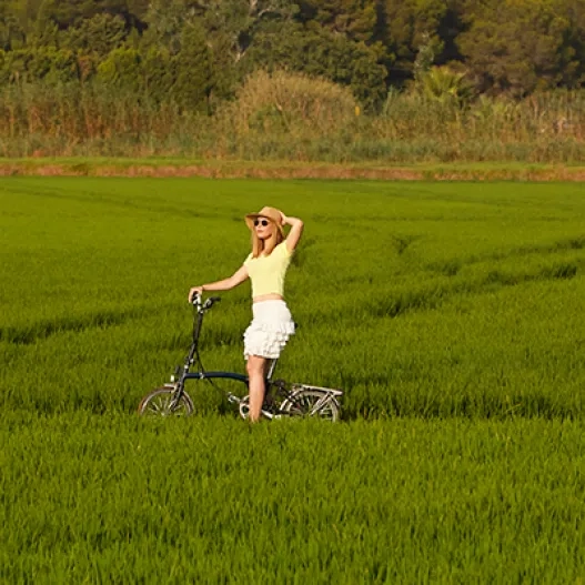 Albufera en bici