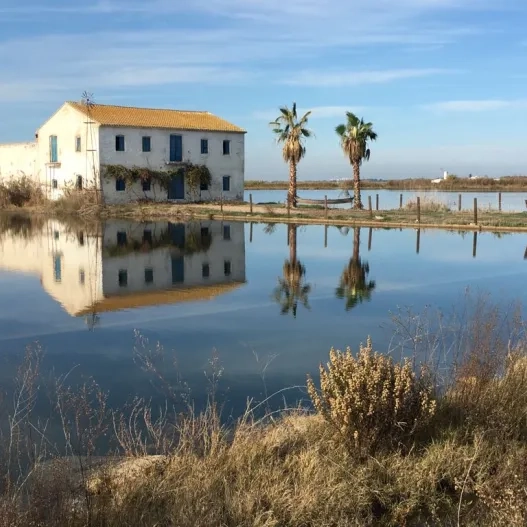 El desentierro película albufera