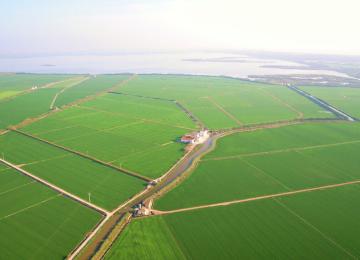 Albufera de Valencia