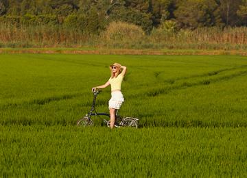 Albufera en bici