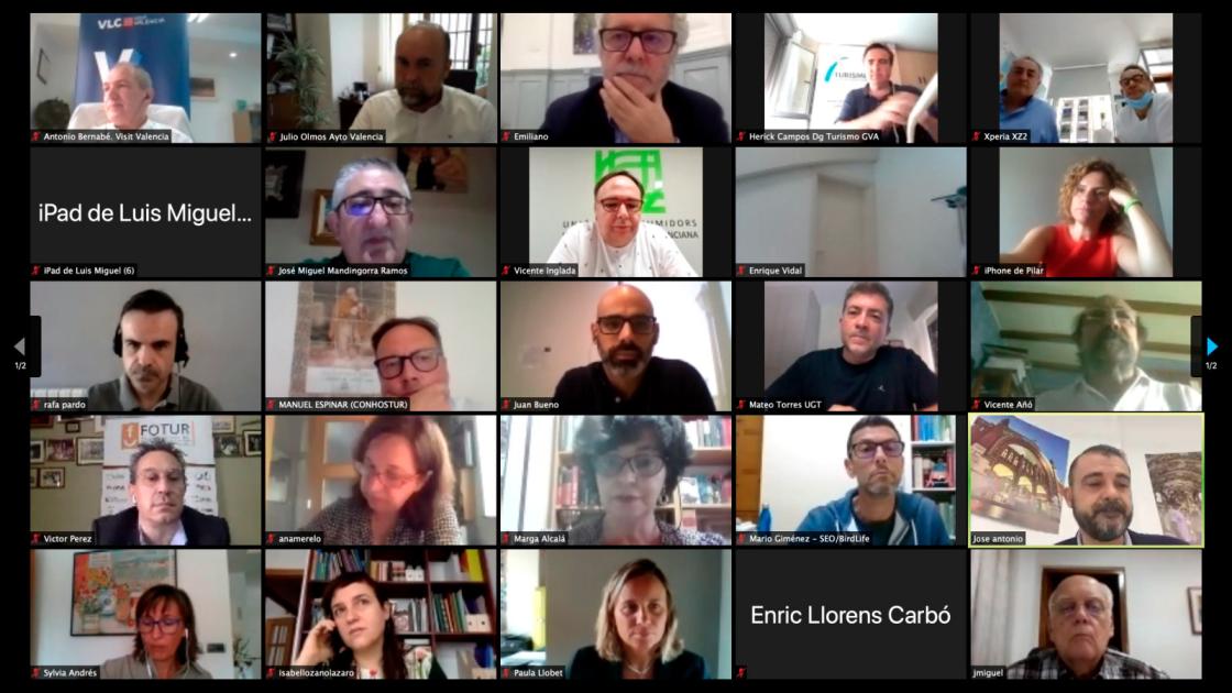 Pantallazo participantes en video call