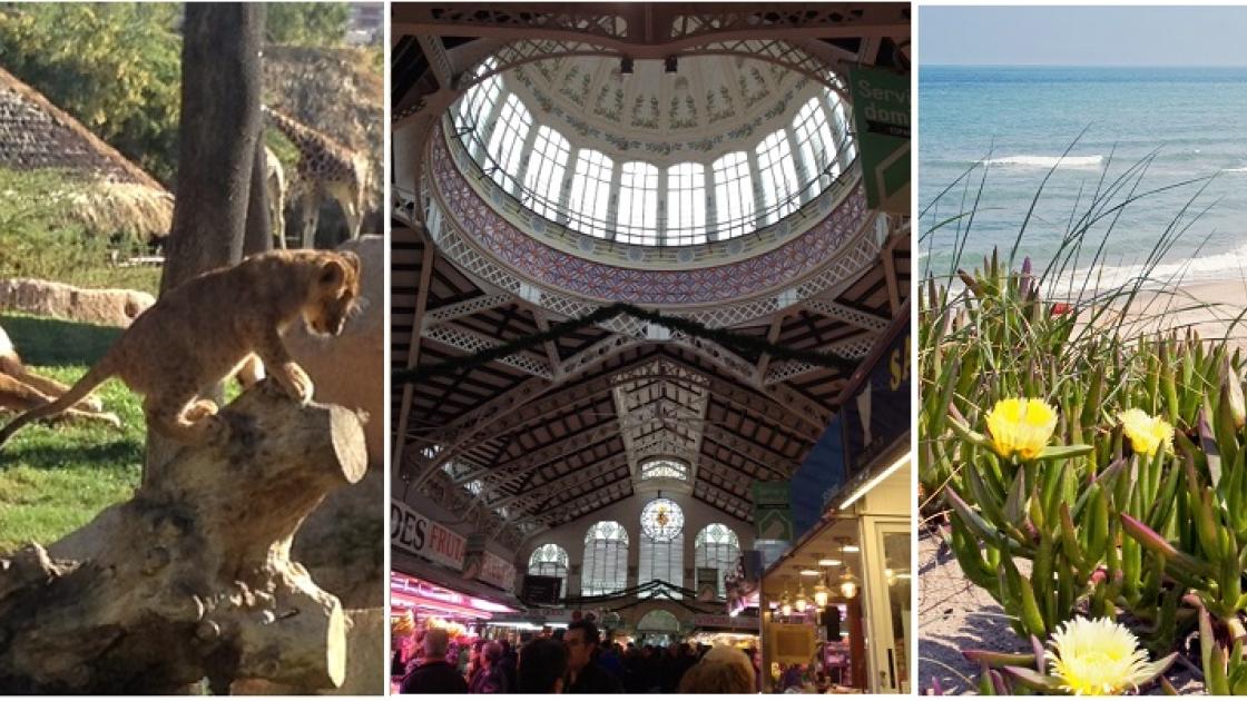 poster con varias imagenes de la ciudad de Valencia, bioparc, estacion