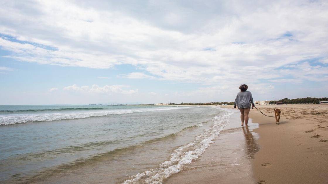 playa pinedo mascota
