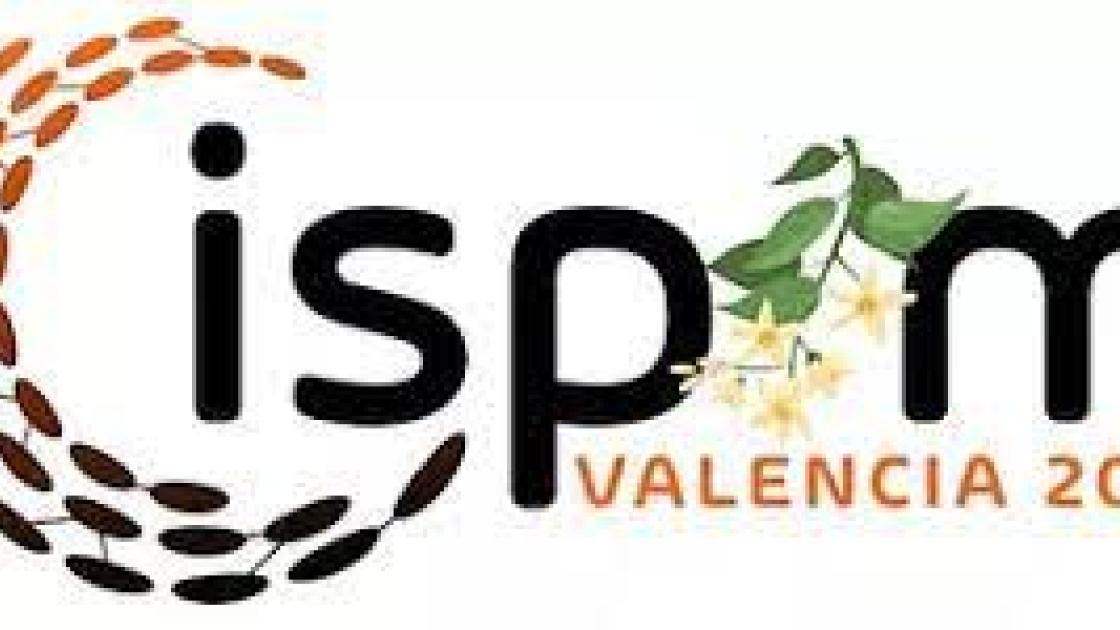 ISPIM Valencia 2021