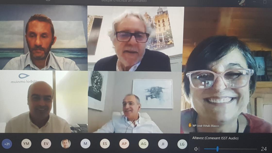 Pantallazo participantes en video call