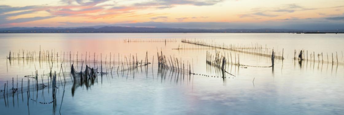 Albufera Valencia