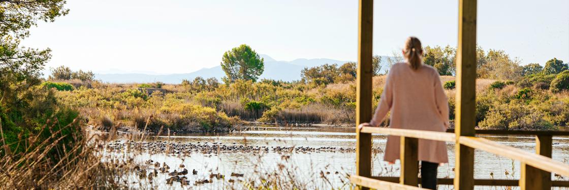Albufera de Valencia