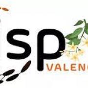 ISPIM Valencia 2021